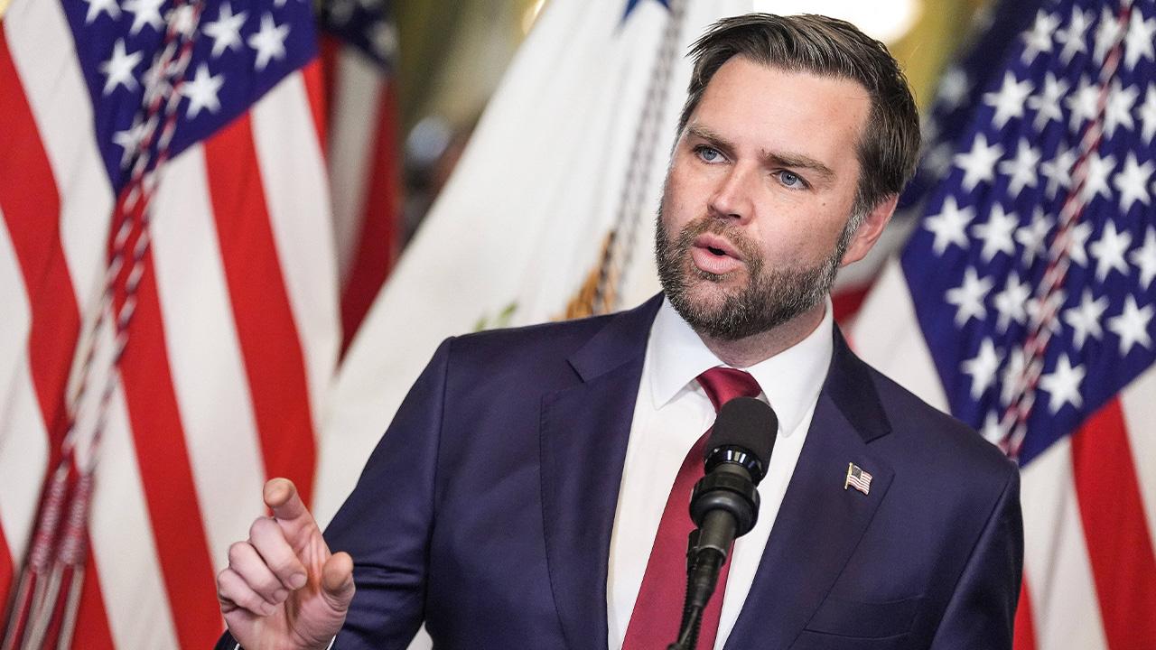 Image of Vice President J.D. Vance baselessly accused a rally heckler of being an illegal immigrant.