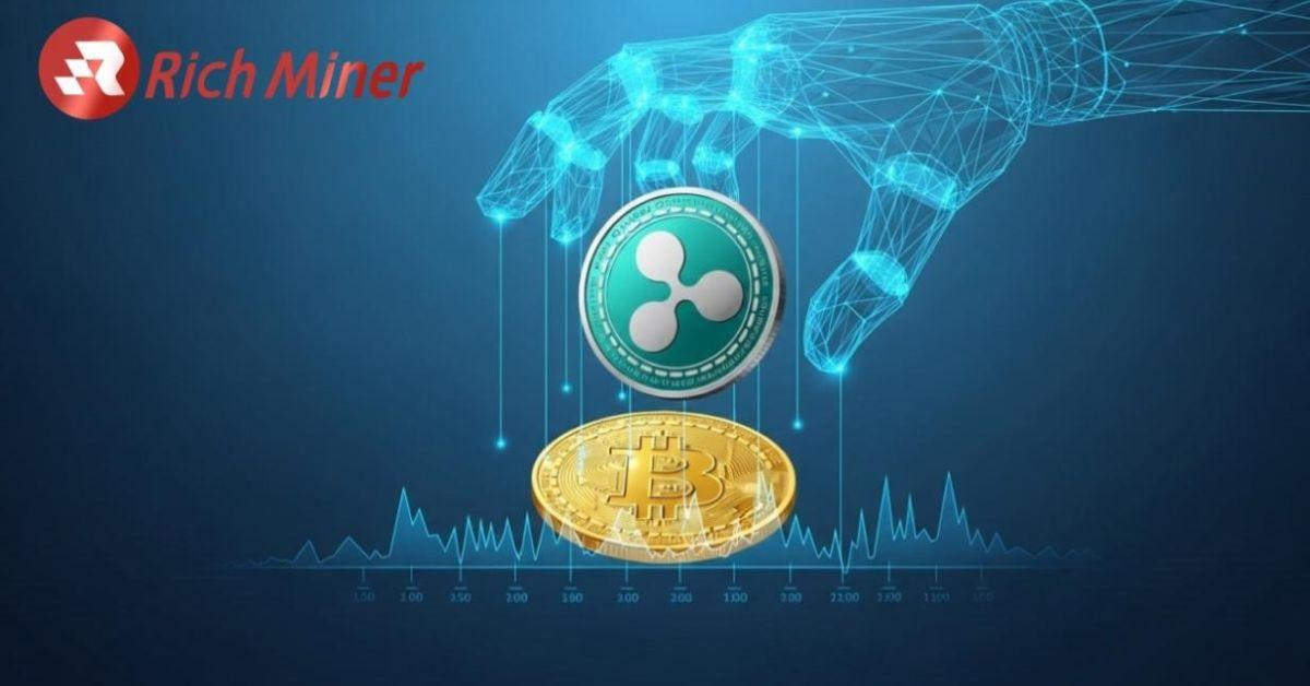 richer miner pp