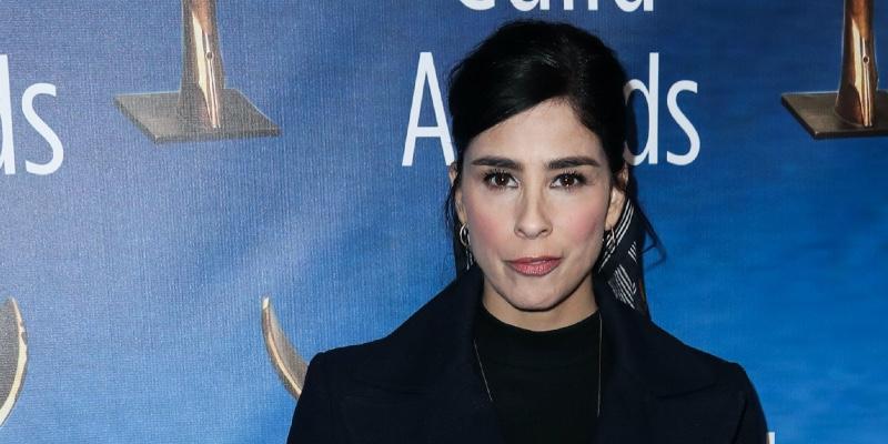 Sarah Silverman found new boyfriend via a video game