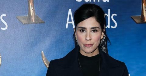 Sarah Silverman found new boyfriend via a video game
