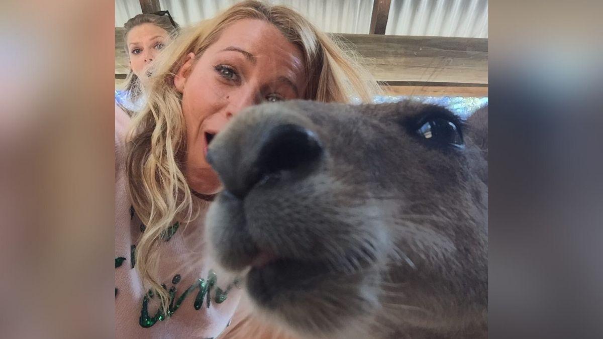 blake lively taylor swift friendship everything to know