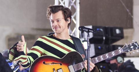 harry styles chicken nugget