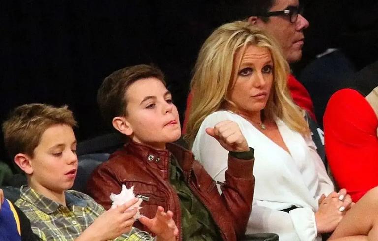 Britney Spears Dedicates Memoir To Her 2 Sons Despite Estrangement