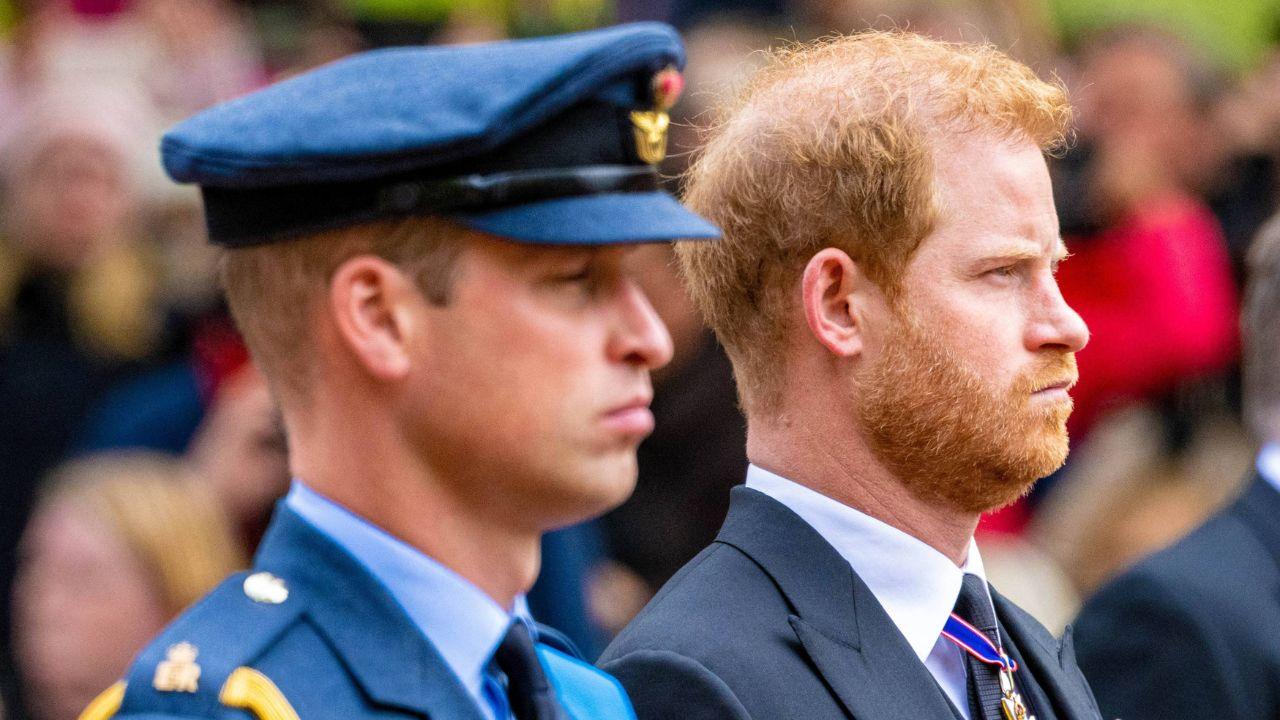 image of William/ harry