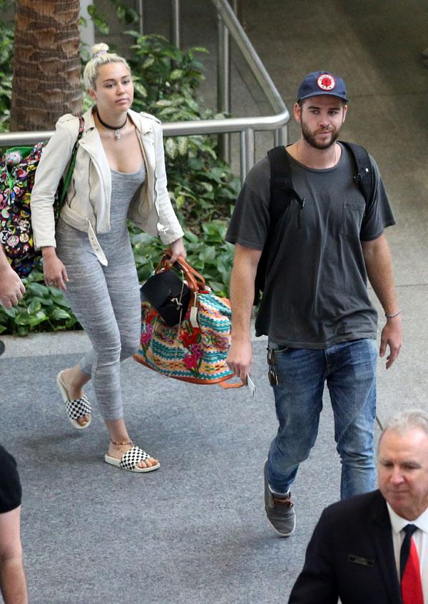 miley cyrus liam hemsworth travel brisbane matching tatoo