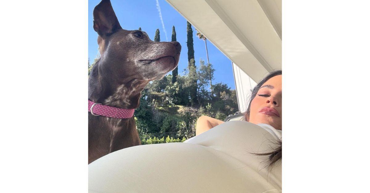 Jenna Dewan Flaunts Gorgeous Baby Bump Before Giving Birth: Photos