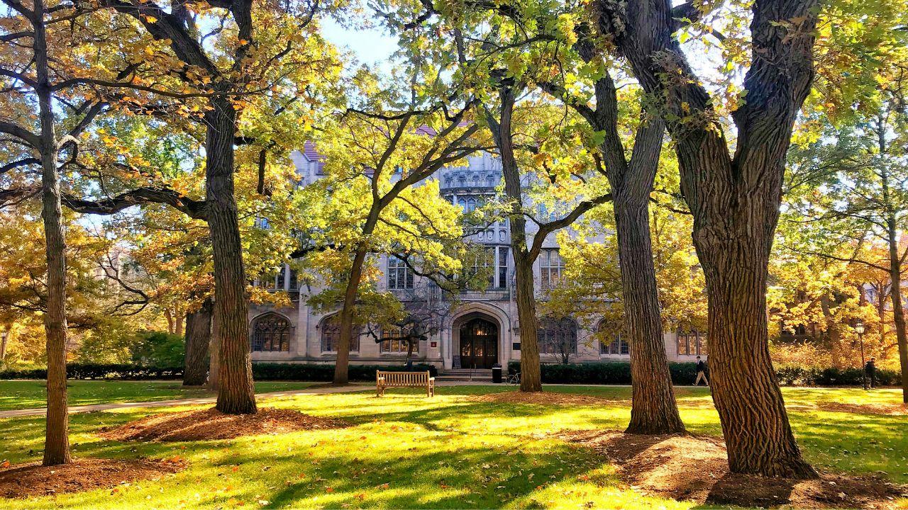 Image of the University of Chicago