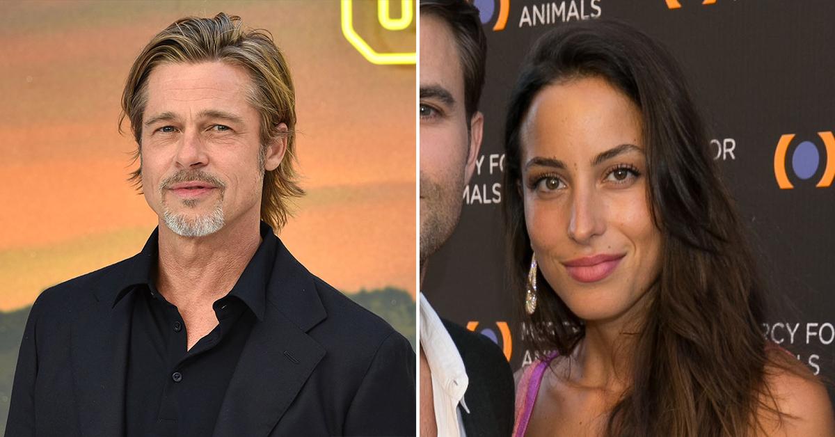Brad Pitt & Ines de Ramon, who was previously married to Paul Wesley, were  spotted keeping close at a concert over the weekend. Tap this