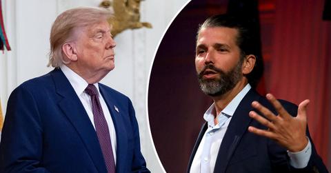 Image of Donald Trump and Donald Trump Jr