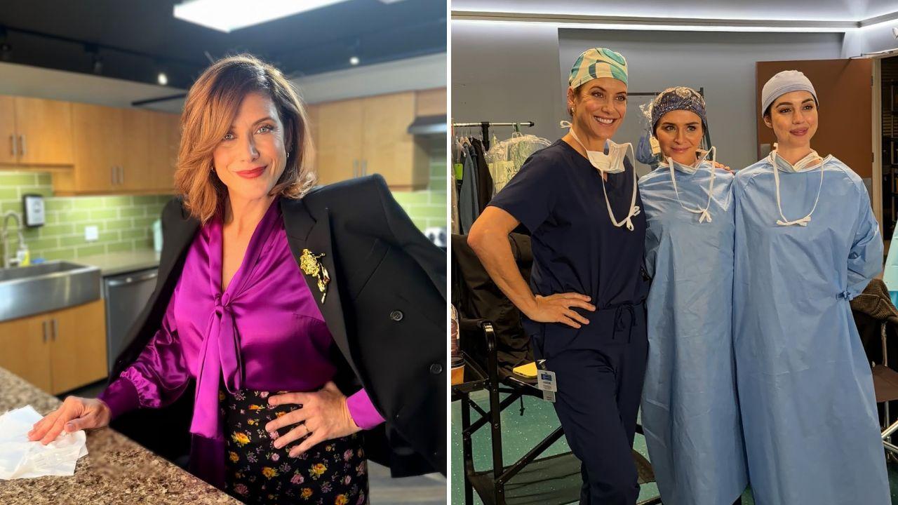 split of Kate Walsh, Grey's Anatomy stars. 