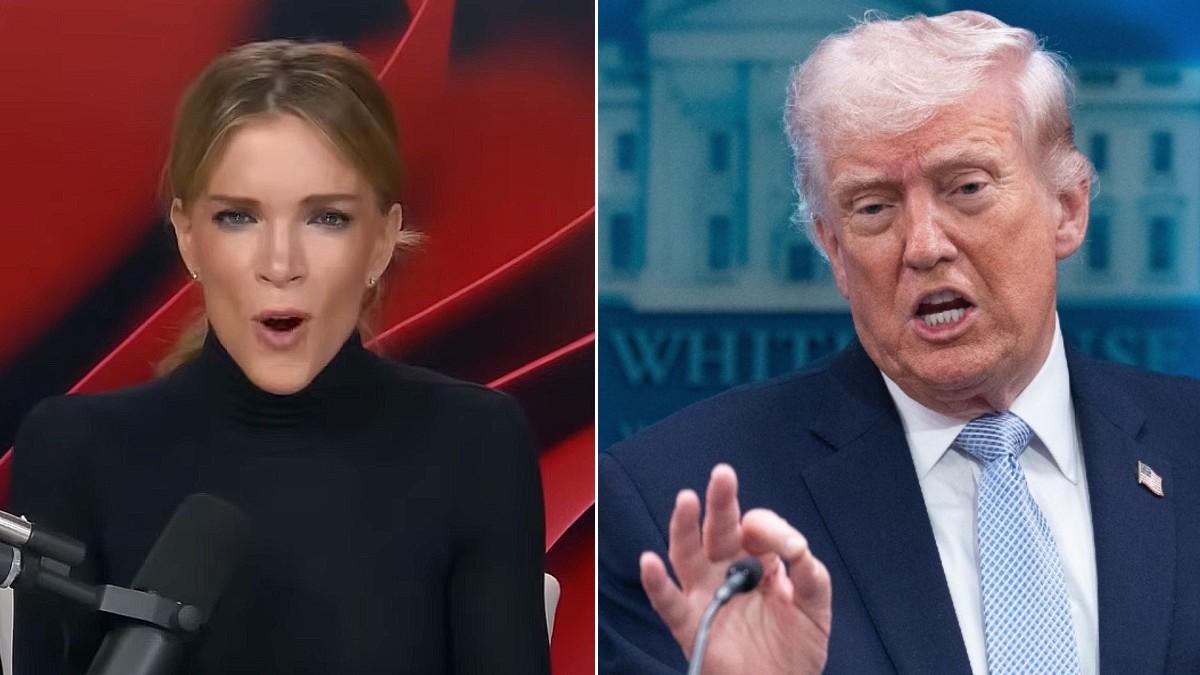 image of Megyn Kelly remains a vocal critic of the Democratic Party.