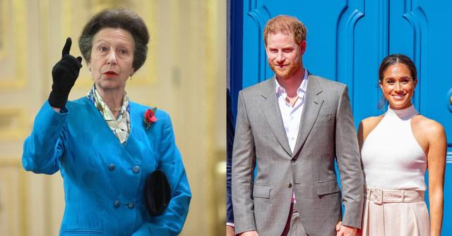 princess anne shades prince harry meghan markle slimming monarchy