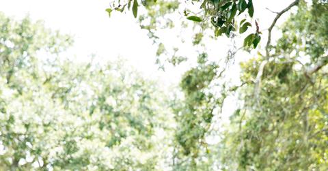 Party Down South Lauren White