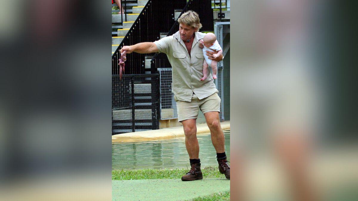 Image of the stingray pierced through Steve Irwin's chest.