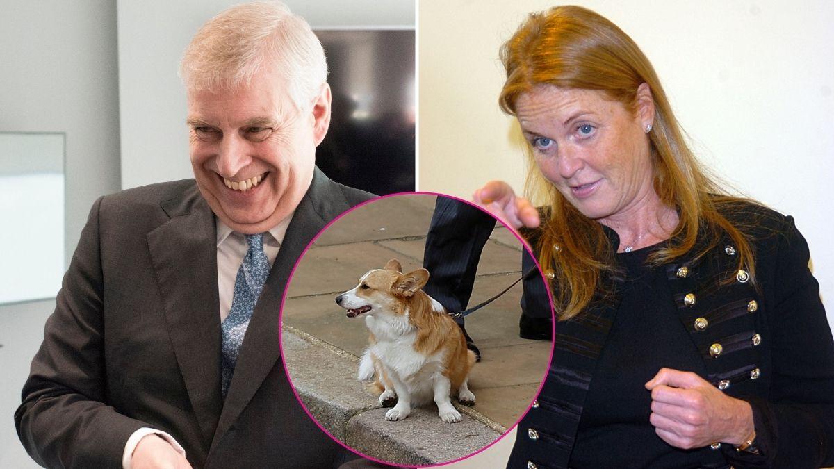 Split photo of Ex-Prince Andrew, Sarah Ferguson and one of Queen Elizabeth's corgis.