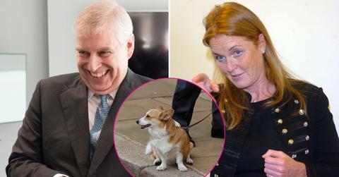 Split photo of Ex-Prince Andrew, Sarah Ferguson and one of Queen Elizabeth's corgis.