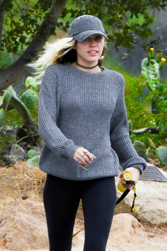 *EXCLUSIVE* Miley Cyrus takes her dog out for a hike with friend Wayne Coyne