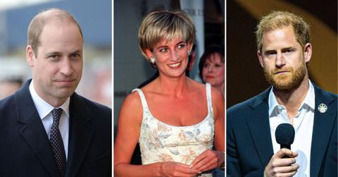 Prince Harry, Prince William, Princess Diana