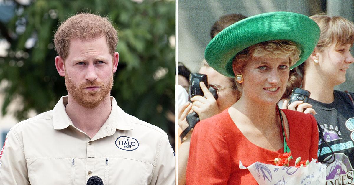 prince harry officially stripped his royal highness title princess diana exhibit ok