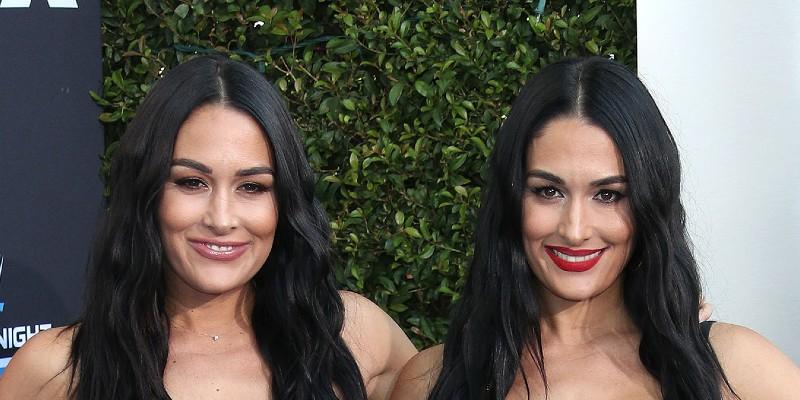 Nikki Bella And Brie Bella Announce Partnership With Monster Energy