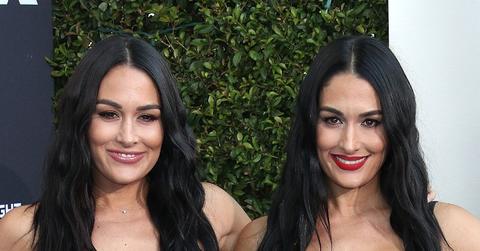 Brie Bella and Nikki Bella Smiling