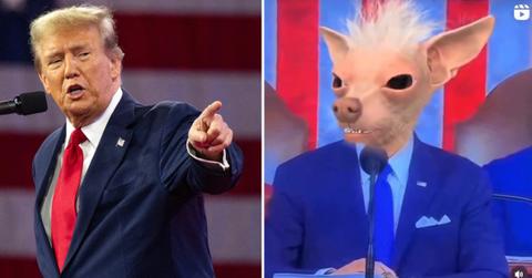 donald trump childishly joe biden dog snapchat filters union address