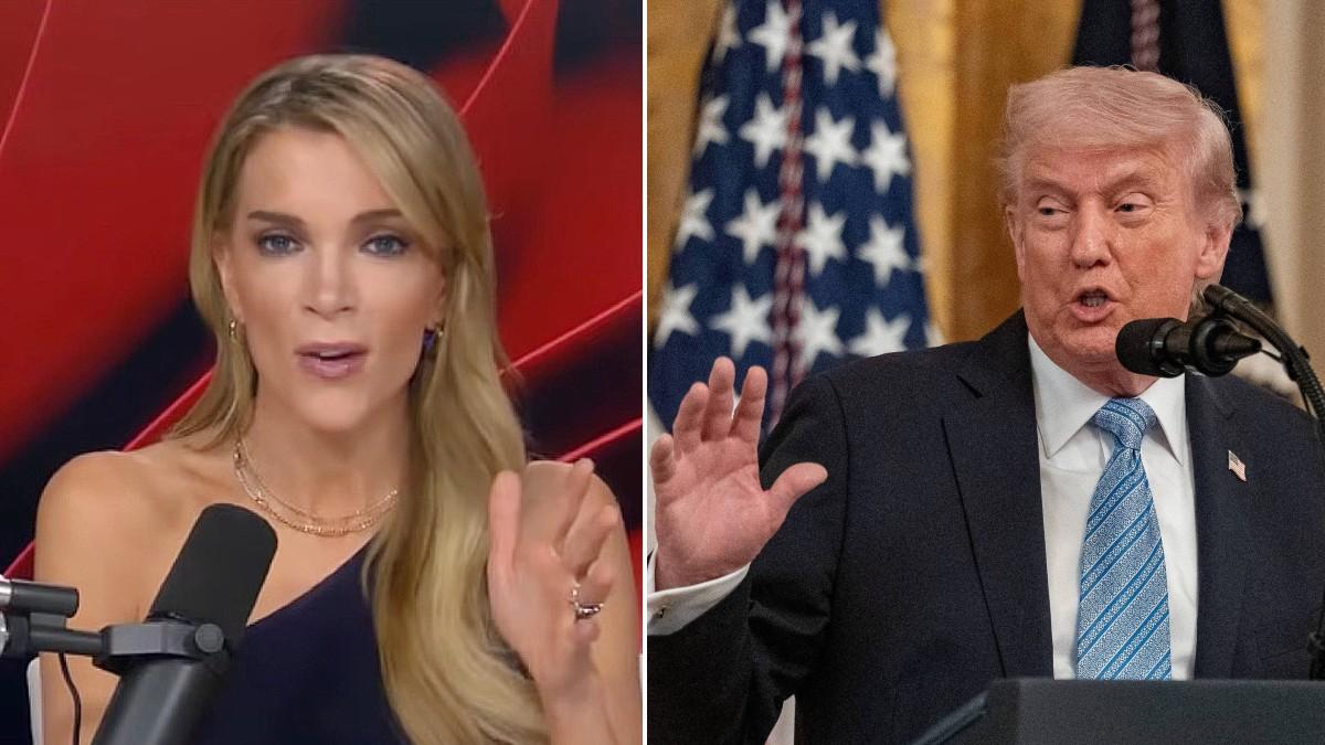 split of Megyn Kelly, Donald Trump. 