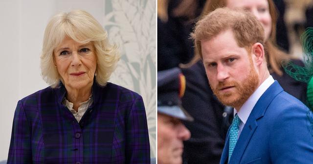 Queen Consort Camilla Is 'Astounded' By Prince Harry's Bombshell Claims