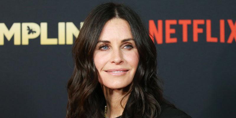 Watch The Trailer For Courteney Cox's Docuseries ‘9 Months’ - 9 Months With Courteney Cox Season 3 Cast