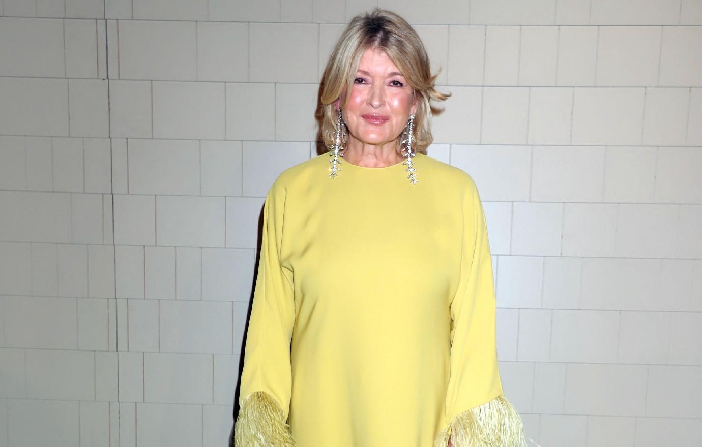 martha stewart trashes netflix lazy documentary flew private jet