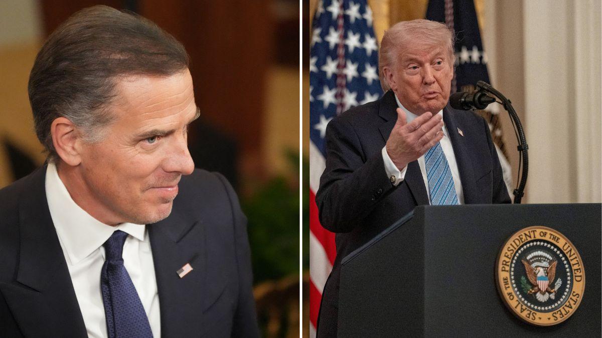 Hunter Biden,Donald Trump