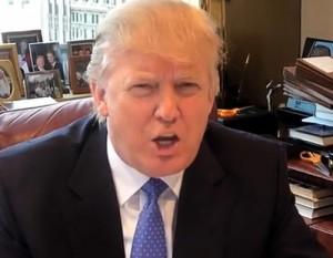 2011__06__Donald_Trump_June7news 300×233.jpg