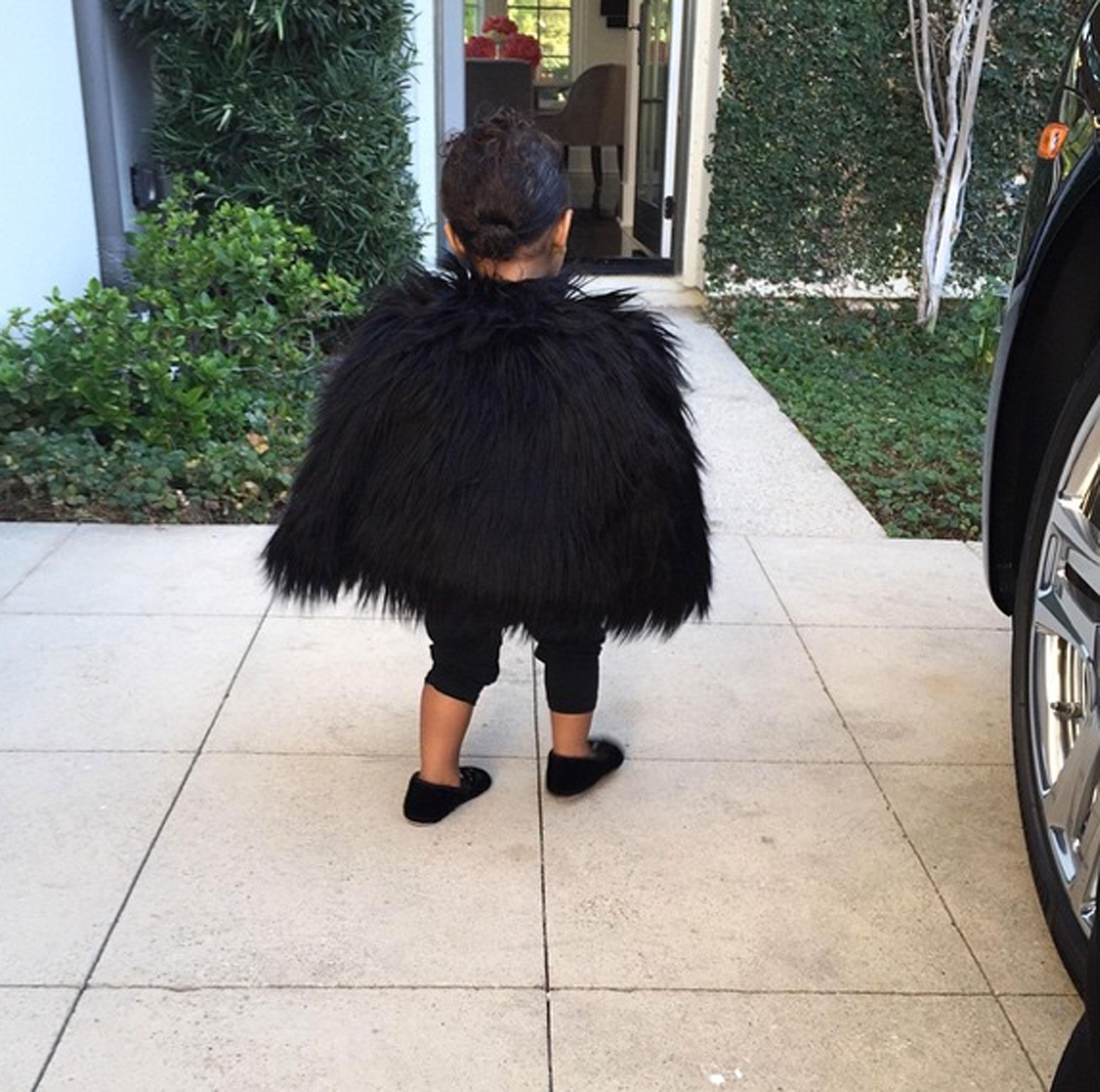 North west 04