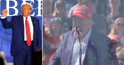 Composite photo of Donald Trump.