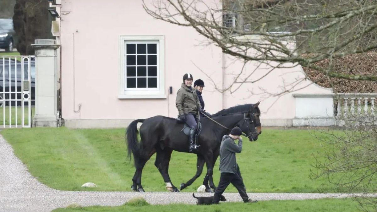 image of prince Andrew