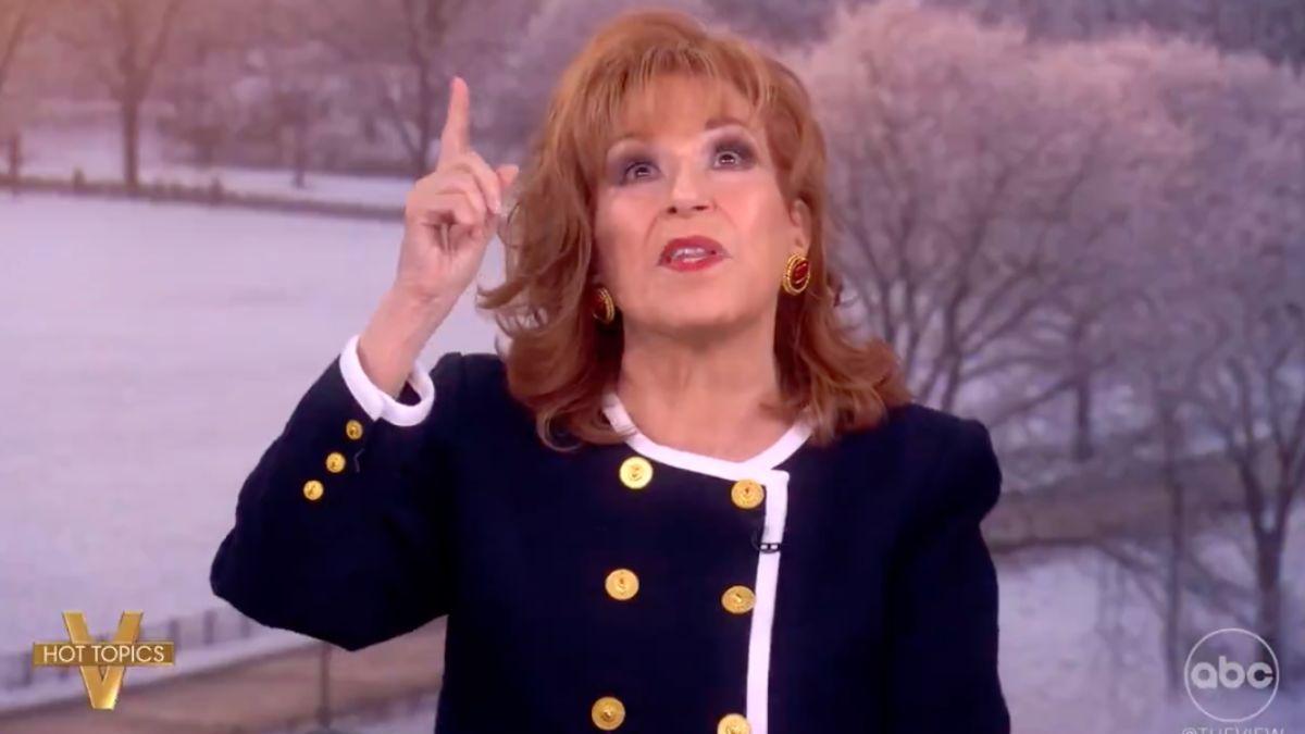 image of joy behar