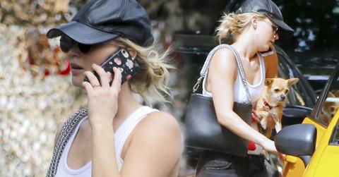 Jennifer lawrence dog walking