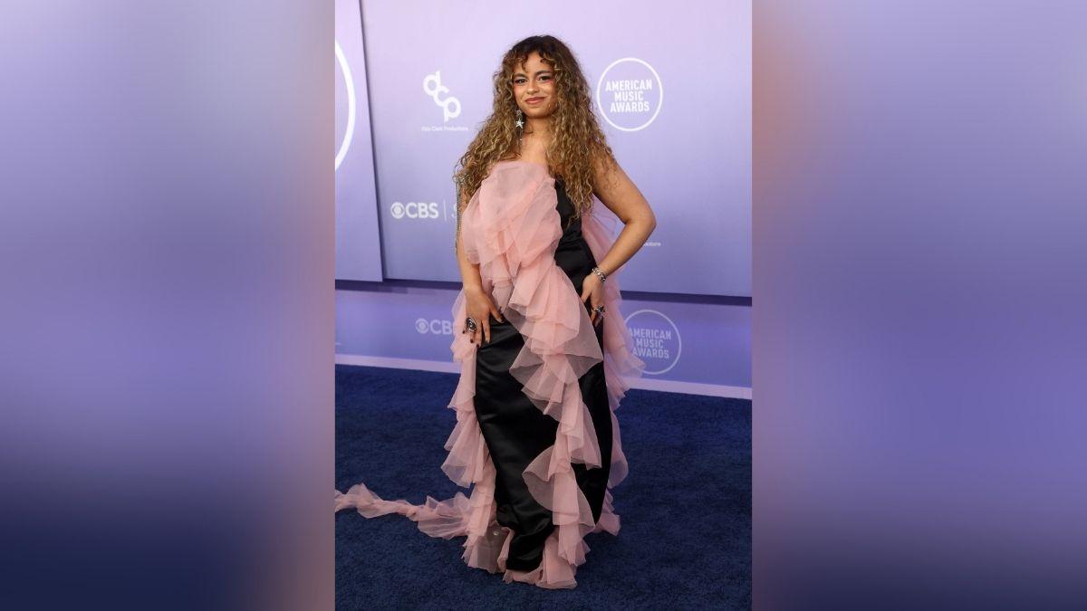 american music awards  red carpet worst dressed celebrities photos