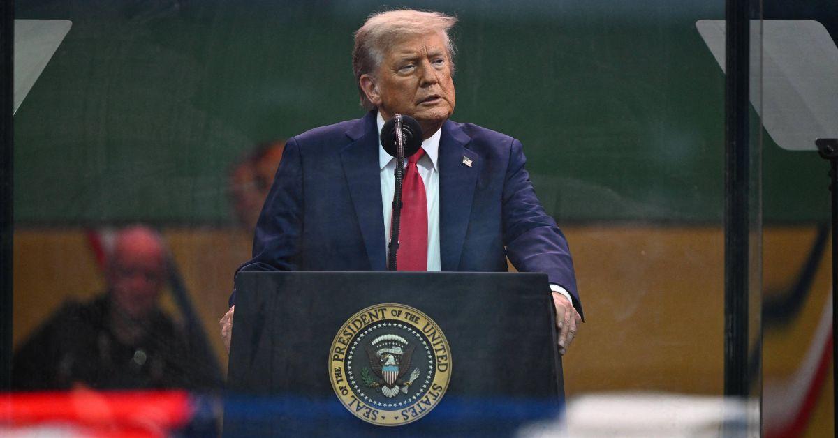 donald trump declares love supporters cnn interview