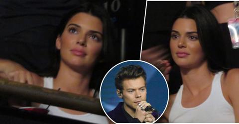 Kendall jenner harry styles concert