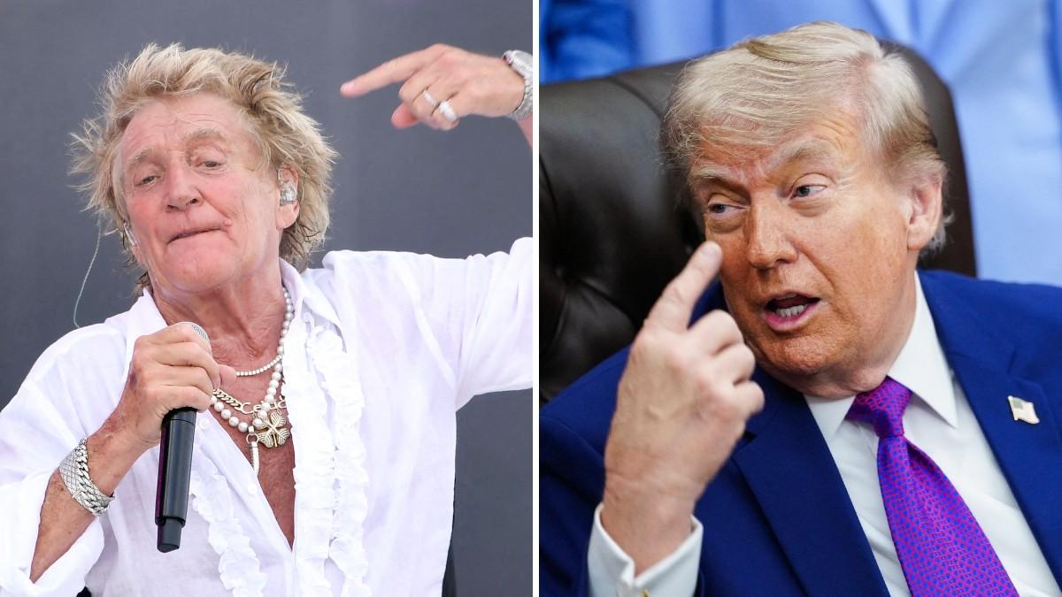 split of Rod Stewart & Donald Trump. 
