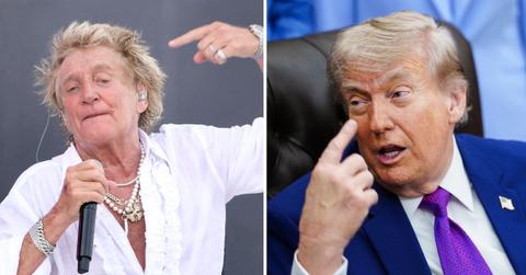 split of Rod Stewart & Donald Trump.