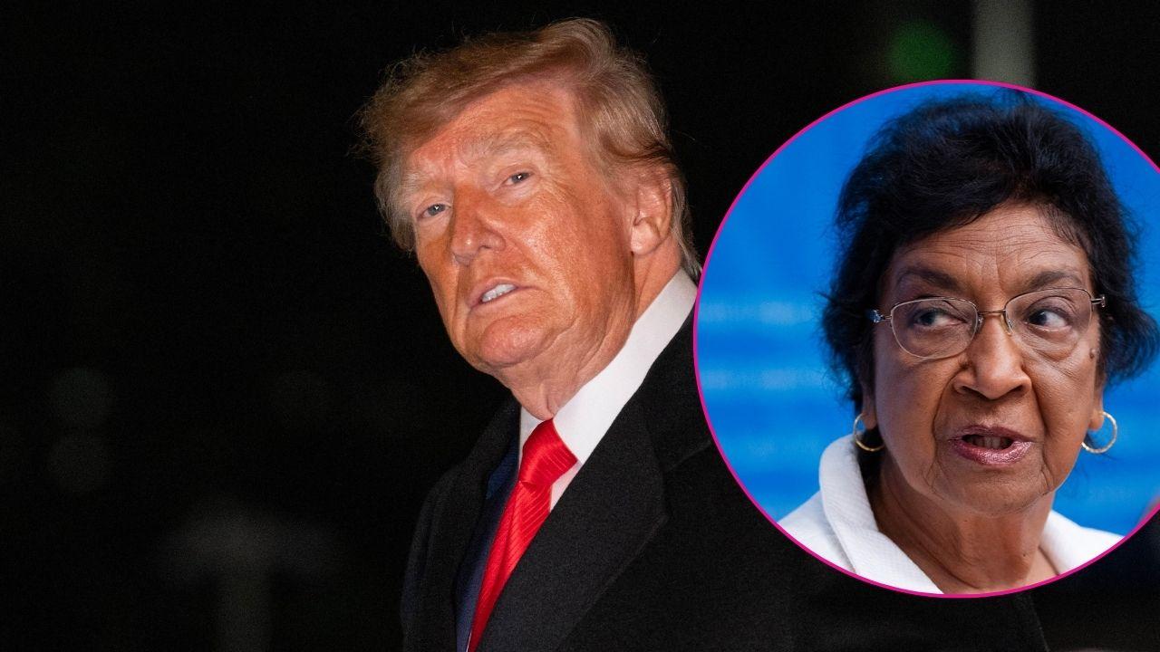 Image of Donald Trump and Navi Pillay