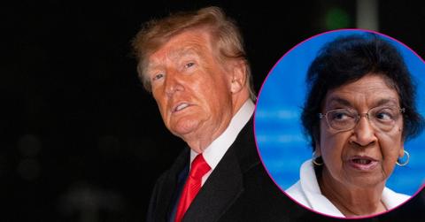 Image of Donald Trump and Navi Pillay