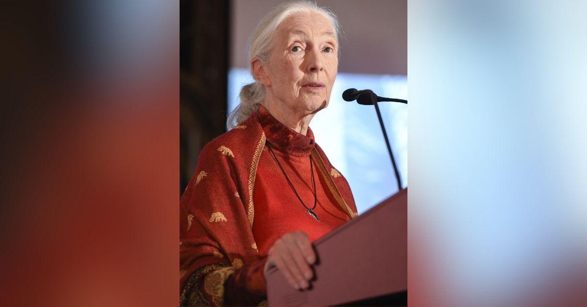 jane goodall life in photos animal welfare activist dead at