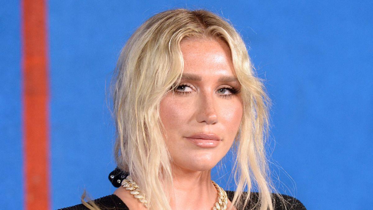 Image of Kesha reminded fans that President Donald Trump's name allegedly appears in the Epstein files over a million times.