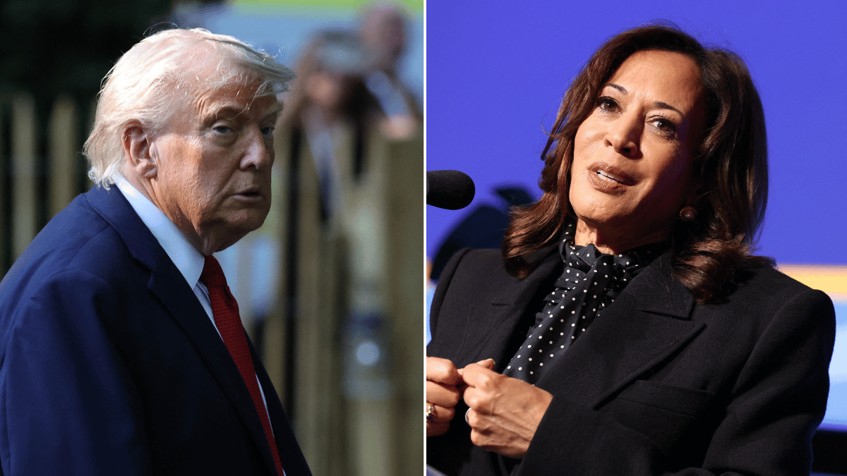 Image of Donald Trump's viral moment was compared to the time a fly landed on Mike Pence's head during his debate against Kamala Harris.