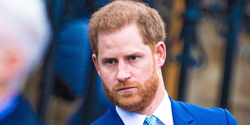 //prince harry letter against social media copy