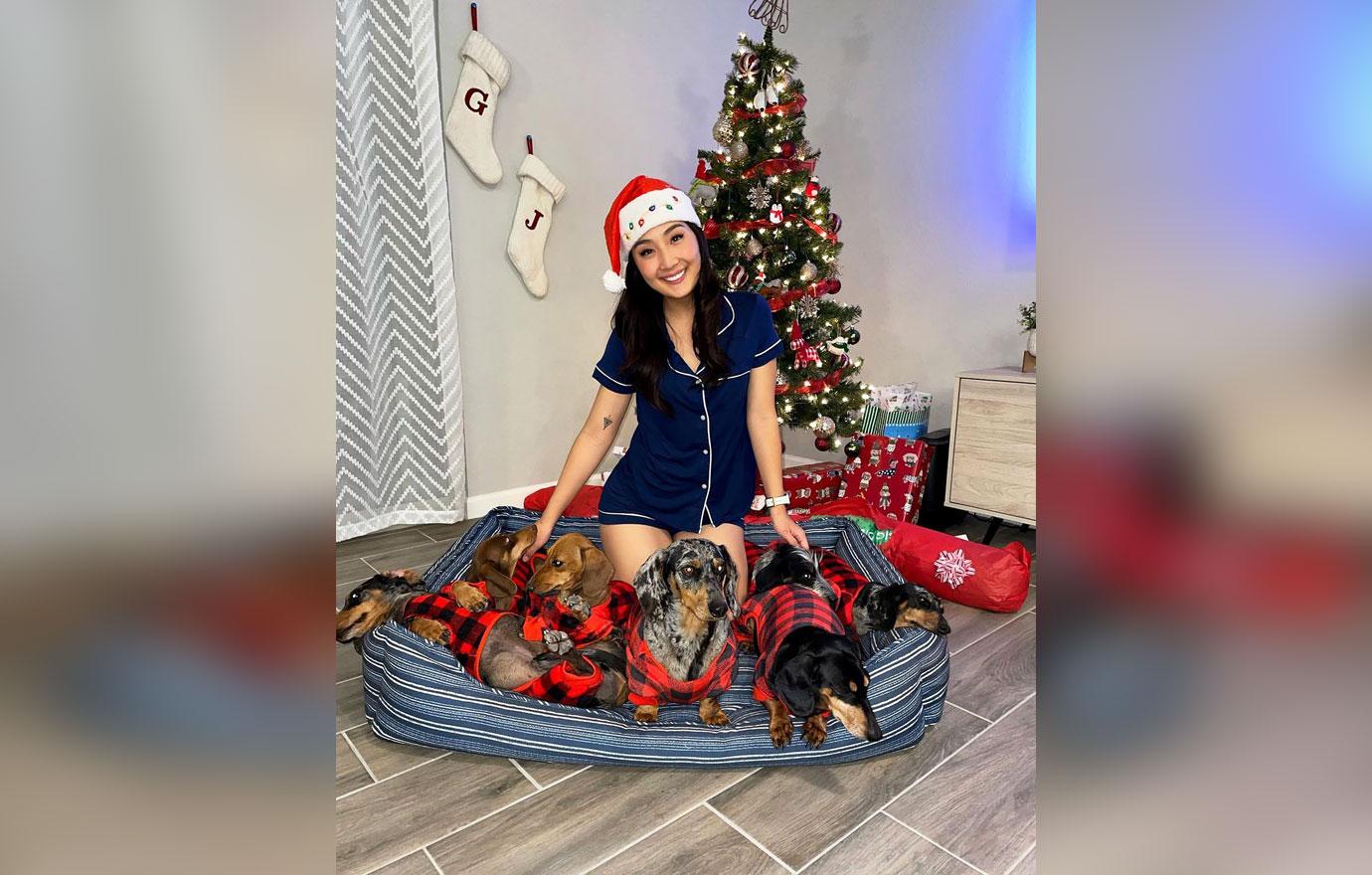 woman spends thousands building sausage dog family with seven dachshunds ok