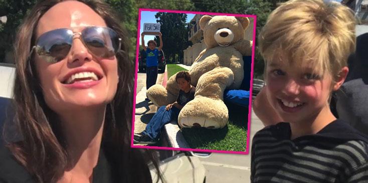 angelina jolie shiloh jolie pitt buy giant teddy bear